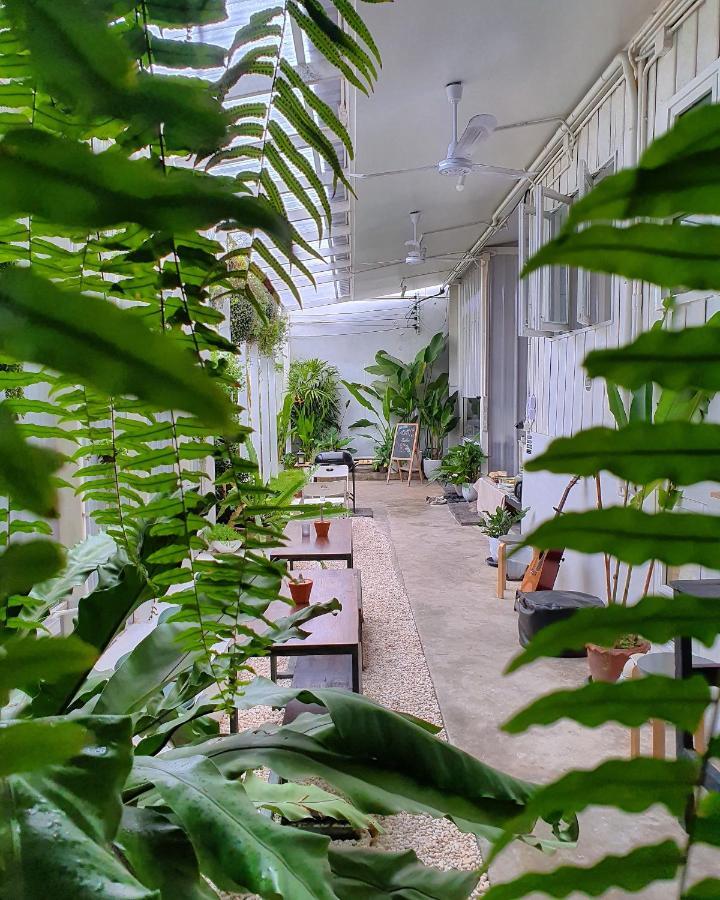 The Park Society Hostel Chiang Mai Ngoại thất bức ảnh